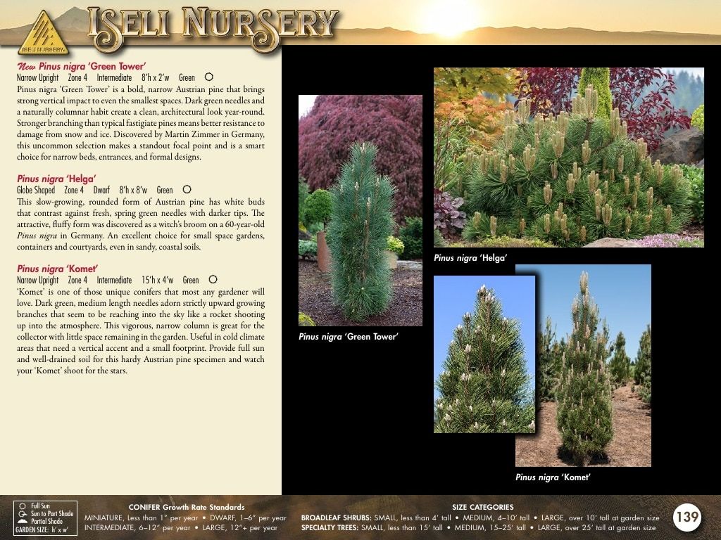 Iseli Nursery Wholesale Nursery Catalog Weekly Ad January 1, 2026 - December 31, 2027