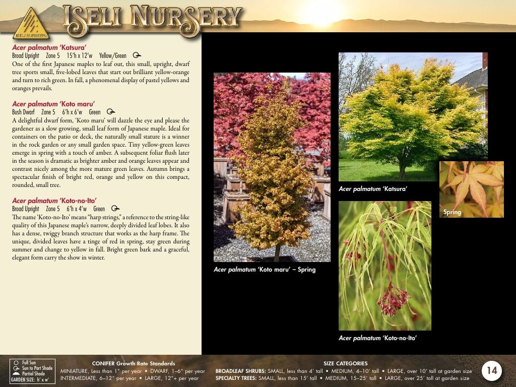 Iseli Nursery Wholesale Nursery Catalog Weekly Ad January 1, 2026 - December 31, 2027
