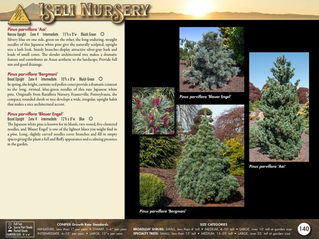 Iseli Nursery Wholesale Nursery Catalog Weekly Ad January 1, 2026 - December 31, 2027