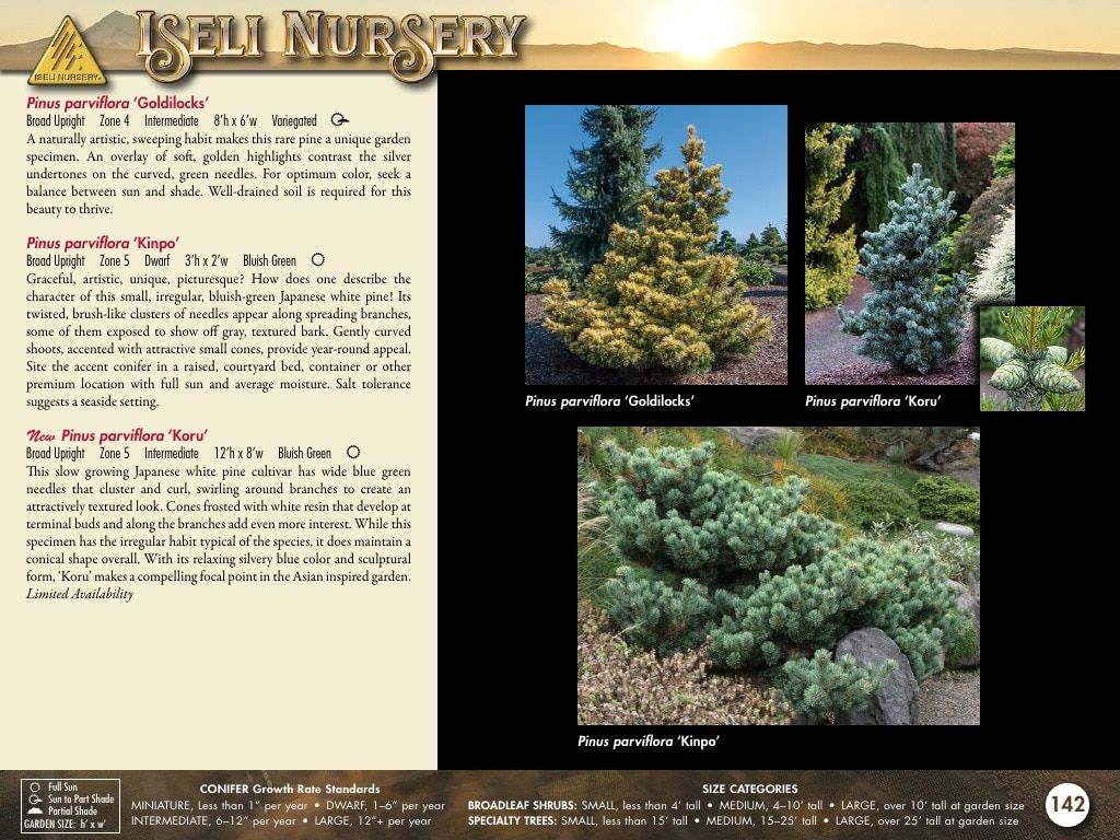 Iseli Nursery Wholesale Nursery Catalog Weekly Ad January 1, 2026 - December 31, 2027