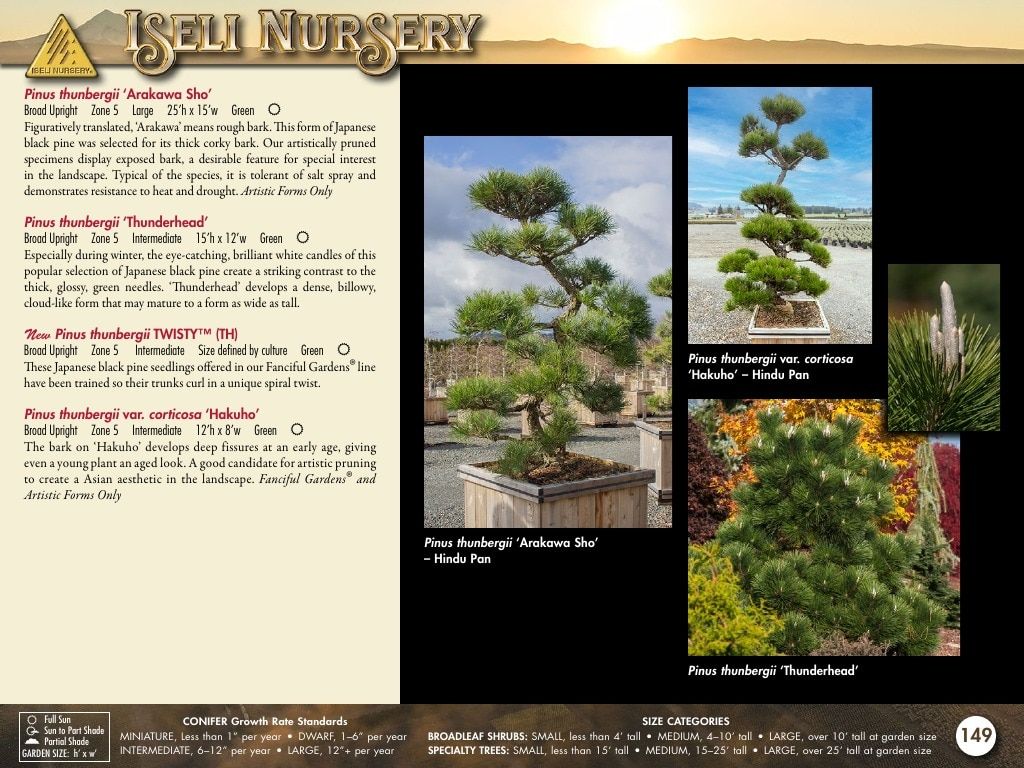 Iseli Nursery Wholesale Nursery Catalog Weekly Ad January 1, 2026 - December 31, 2027