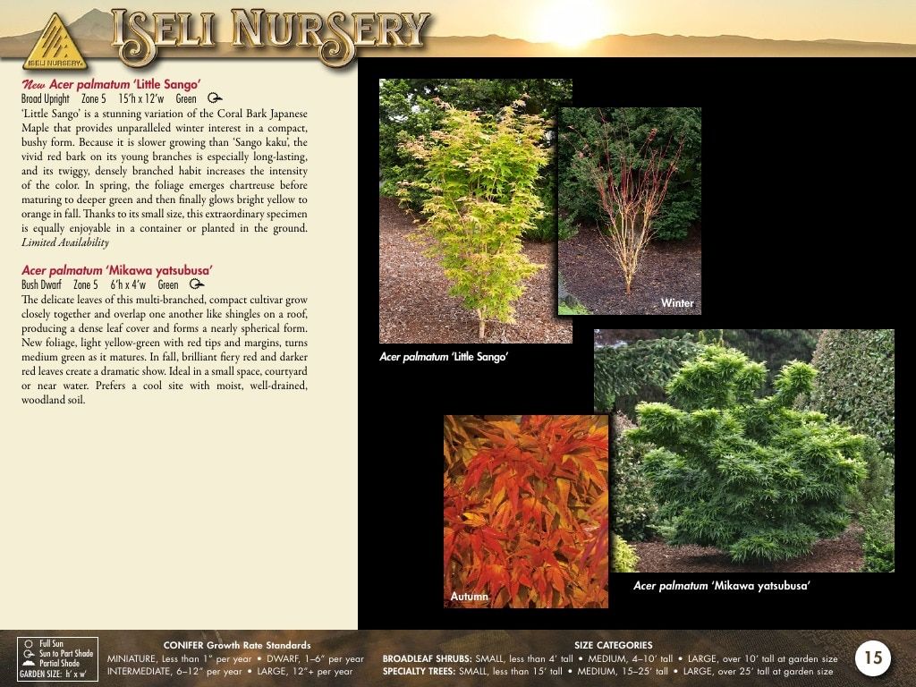 Iseli Nursery Wholesale Nursery Catalog Weekly Ad January 1, 2026 - December 31, 2027