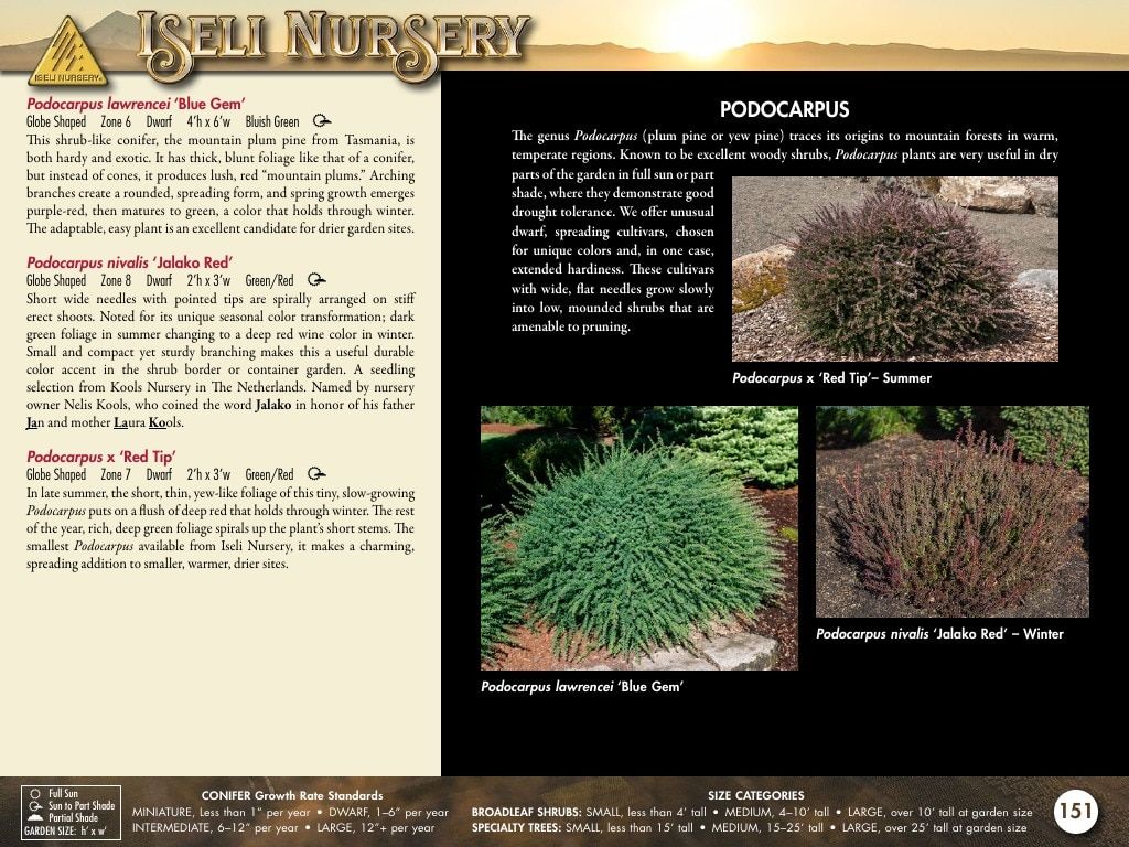 Iseli Nursery Wholesale Nursery Catalog Weekly Ad January 1, 2026 - December 31, 2027