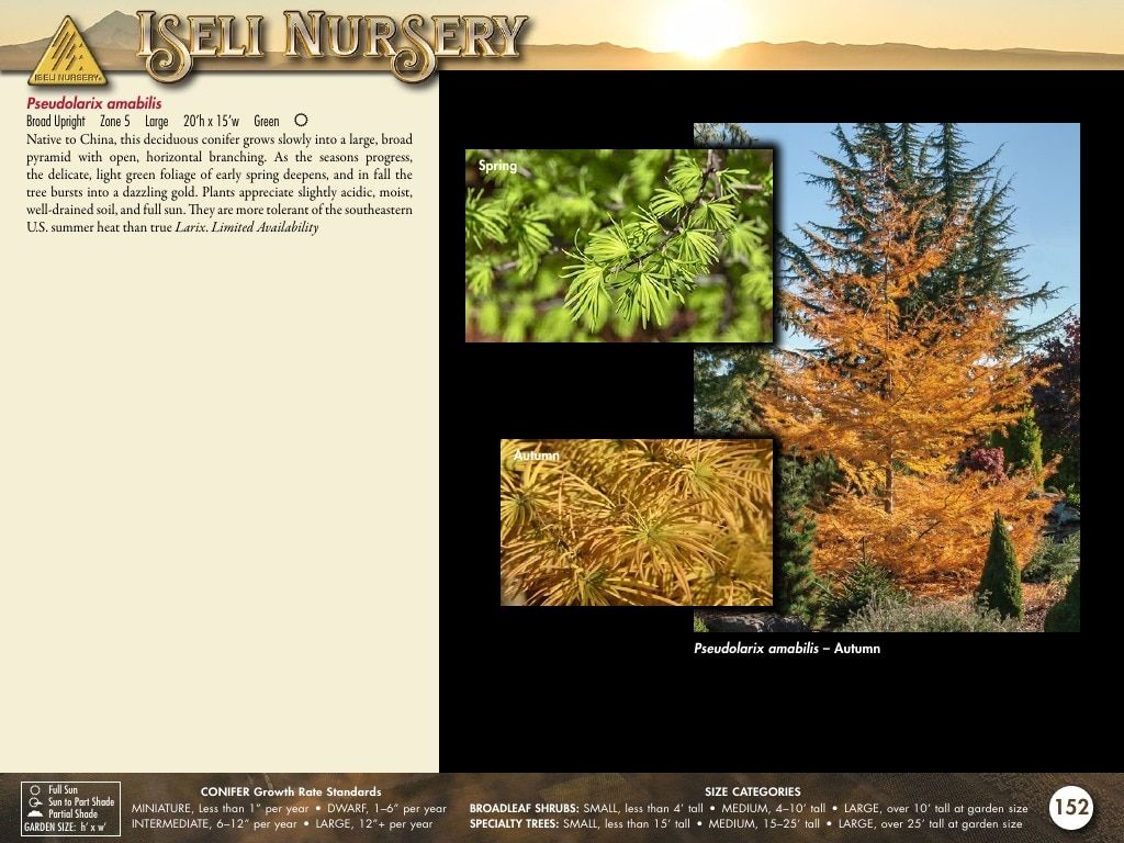Iseli Nursery Wholesale Nursery Catalog Weekly Ad January 1, 2026 - December 31, 2027