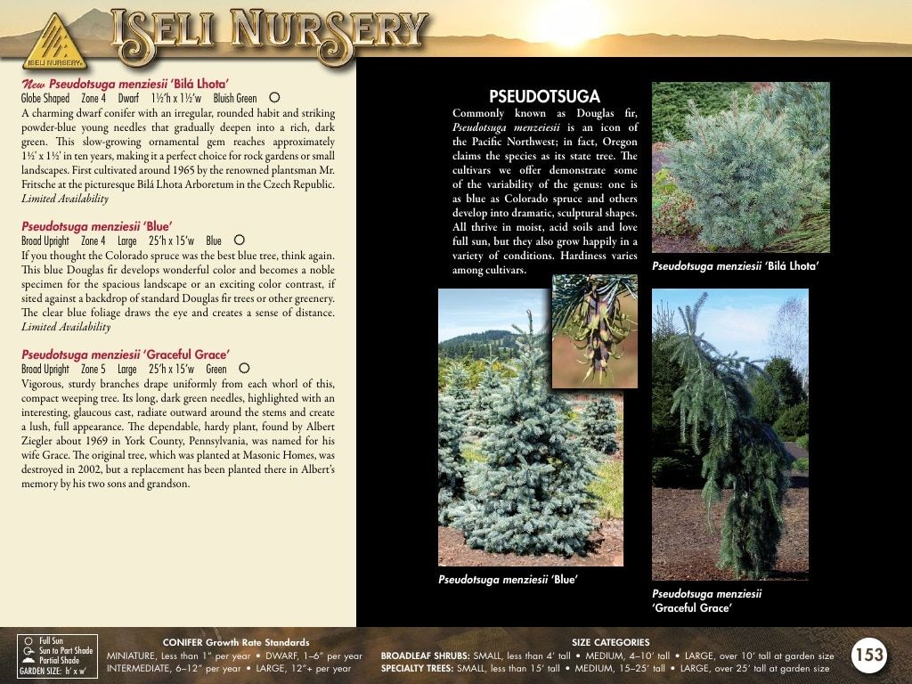Iseli Nursery Wholesale Nursery Catalog Weekly Ad January 1, 2026 - December 31, 2027