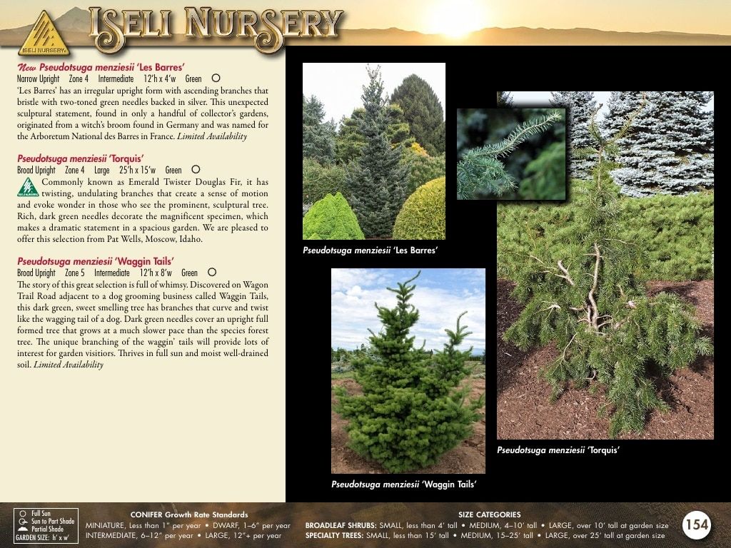 Iseli Nursery Wholesale Nursery Catalog Weekly Ad January 1, 2026 - December 31, 2027
