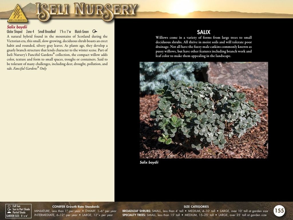 Iseli Nursery Wholesale Nursery Catalog Weekly Ad January 1, 2026 - December 31, 2027