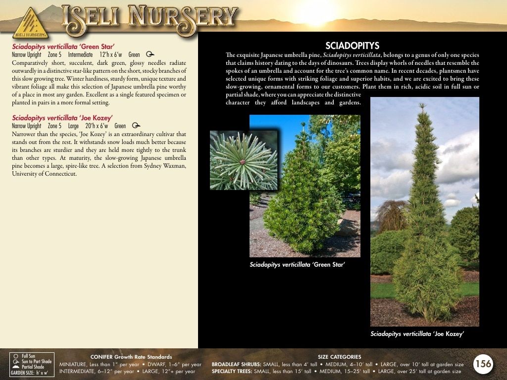 Iseli Nursery Wholesale Nursery Catalog Weekly Ad January 1, 2026 - December 31, 2027