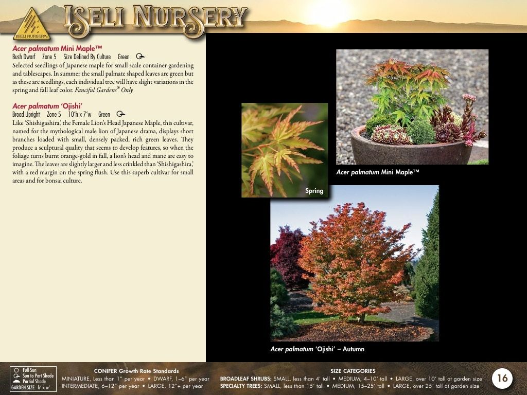 Iseli Nursery Wholesale Nursery Catalog Weekly Ad January 1, 2026 - December 31, 2027