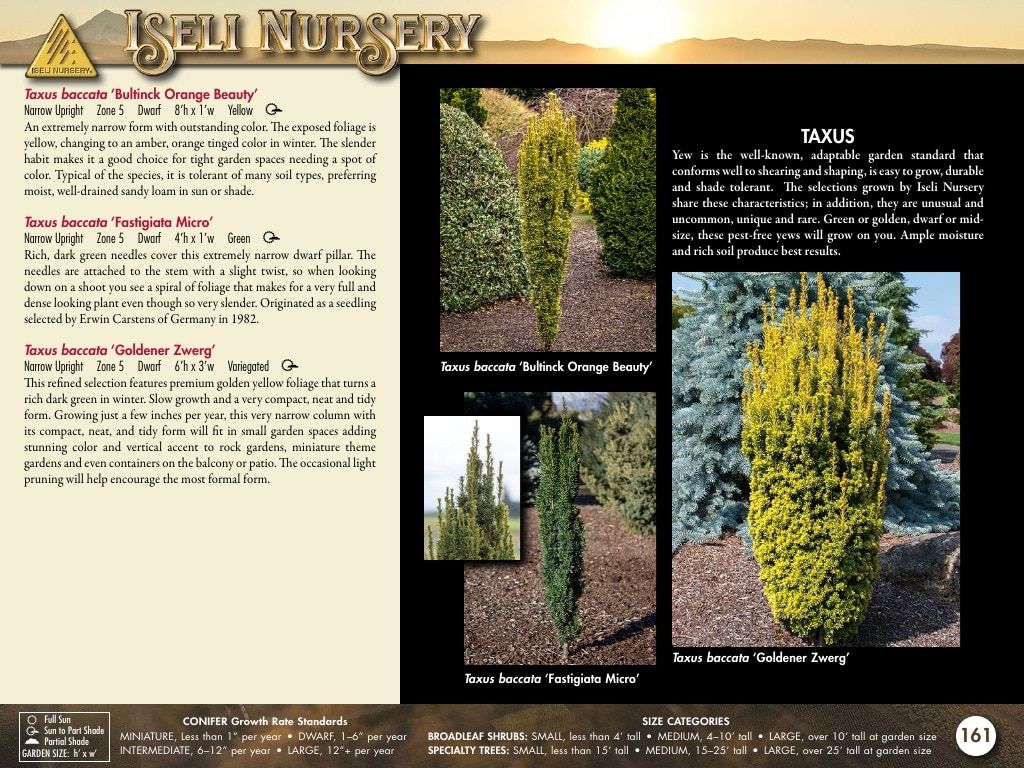 Iseli Nursery Wholesale Nursery Catalog Weekly Ad January 1, 2026 - December 31, 2027