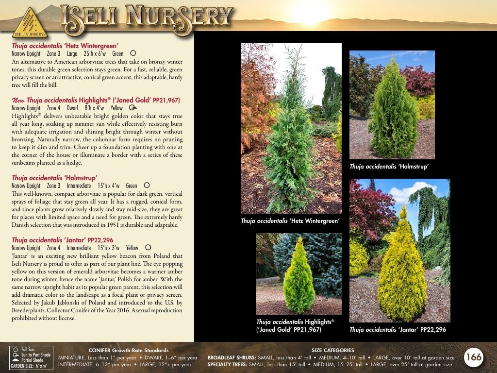 Iseli Nursery Wholesale Nursery Catalog Weekly Ad January 1, 2026 - December 31, 2027