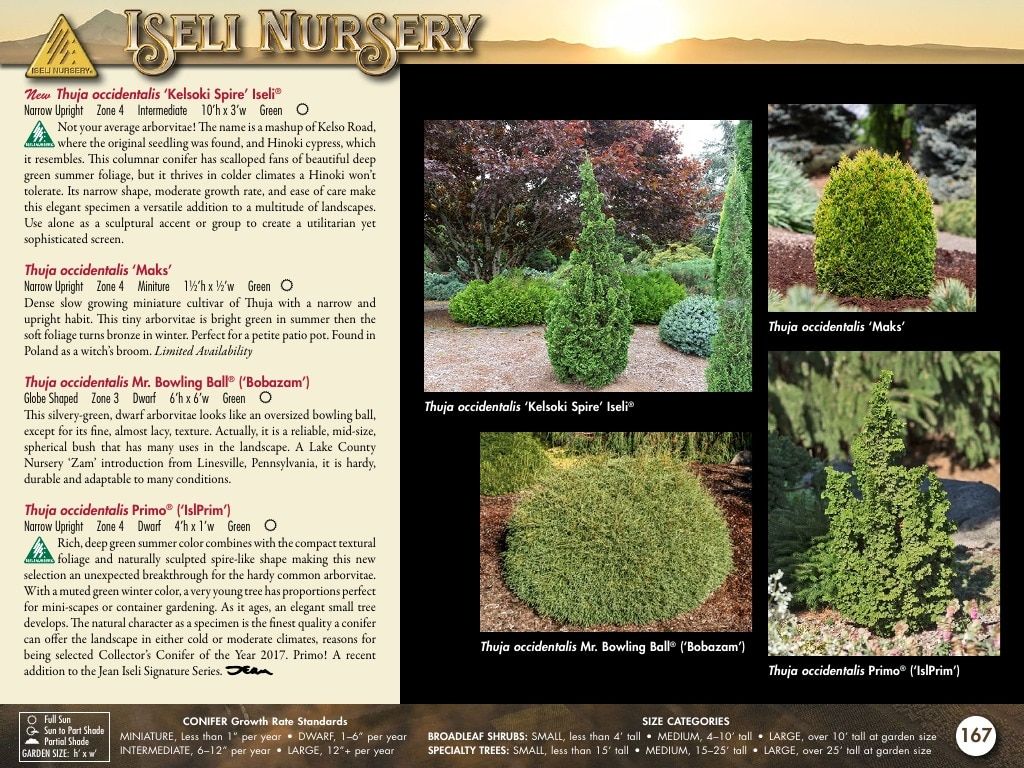 Iseli Nursery Wholesale Nursery Catalog Weekly Ad January 1, 2026 - December 31, 2027