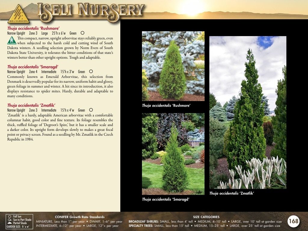 Iseli Nursery Wholesale Nursery Catalog Weekly Ad January 1, 2026 - December 31, 2027