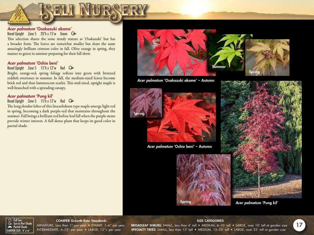 Iseli Nursery Wholesale Nursery Catalog Weekly Ad January 1, 2026 - December 31, 2027