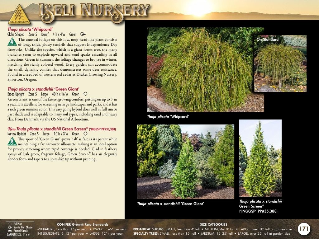 Iseli Nursery Wholesale Nursery Catalog Weekly Ad January 1, 2026 - December 31, 2027