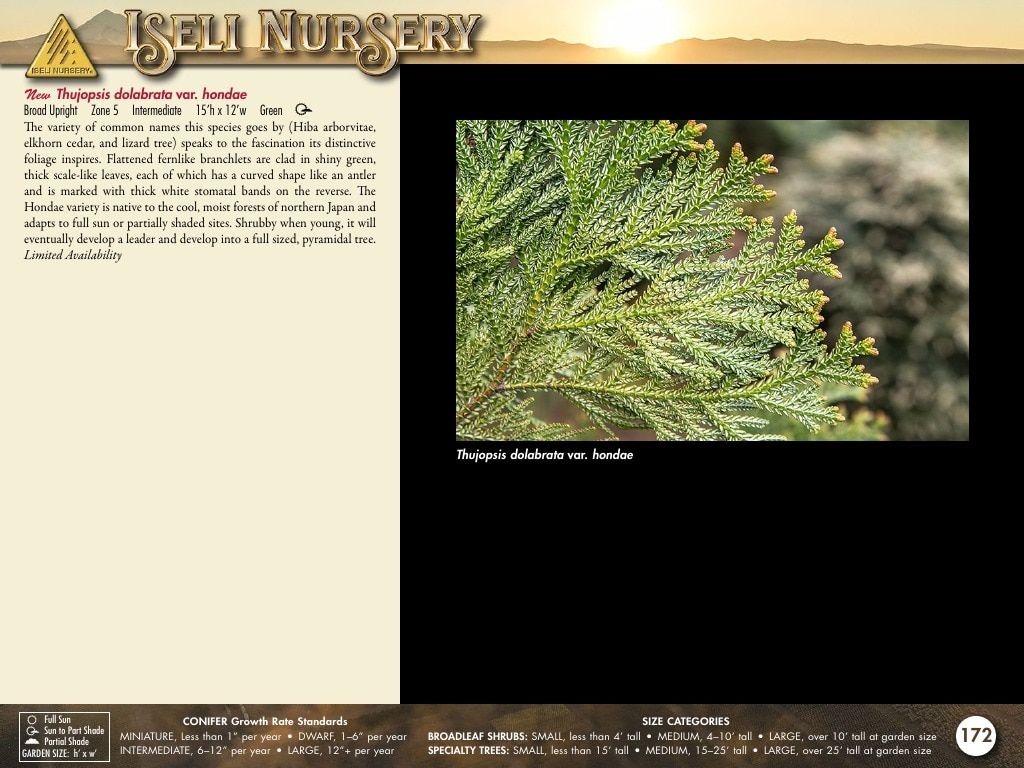 Iseli Nursery Wholesale Nursery Catalog Weekly Ad January 1, 2026 - December 31, 2027