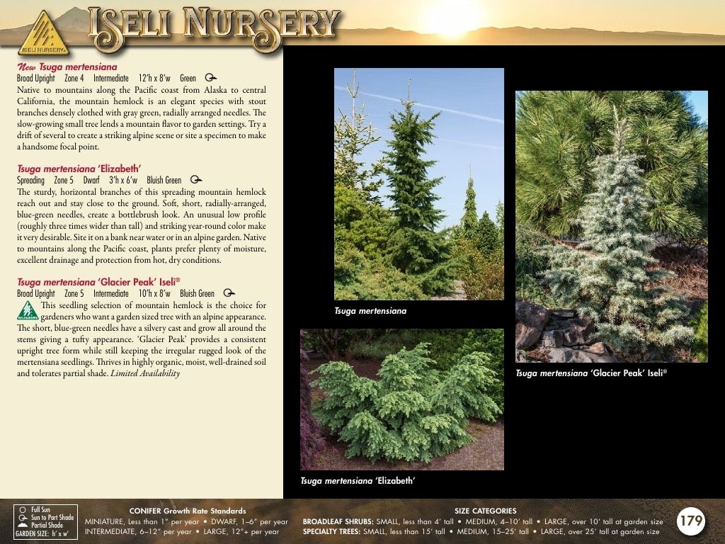 Iseli Nursery Wholesale Nursery Catalog Weekly Ad January 1, 2026 - December 31, 2027