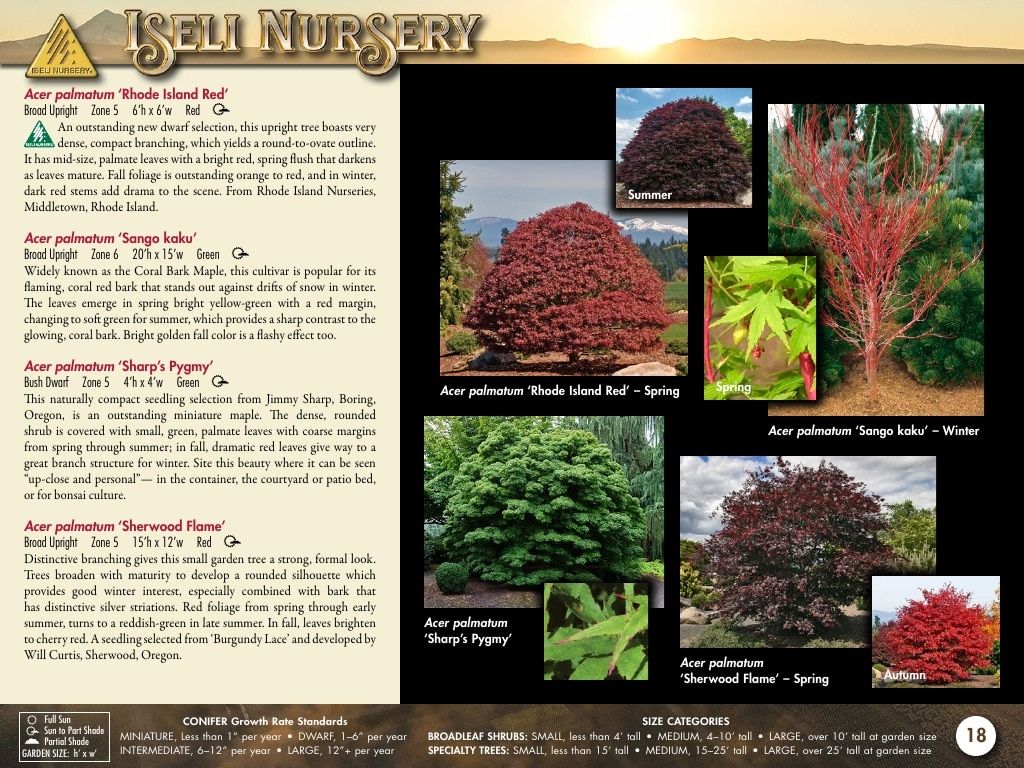 Iseli Nursery Wholesale Nursery Catalog Weekly Ad January 1, 2026 - December 31, 2027