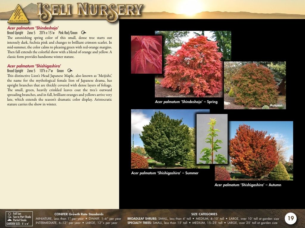 Iseli Nursery Wholesale Nursery Catalog Weekly Ad January 1, 2026 - December 31, 2027