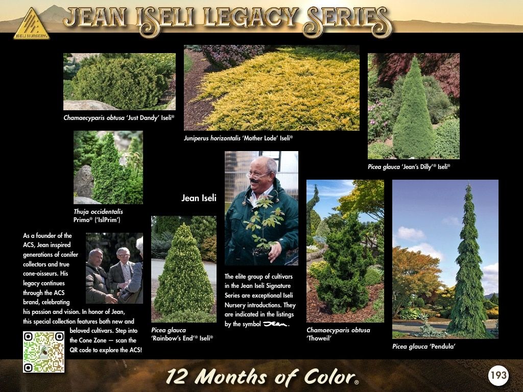 Iseli Nursery Wholesale Nursery Catalog Weekly Ad January 1, 2026 - December 31, 2027