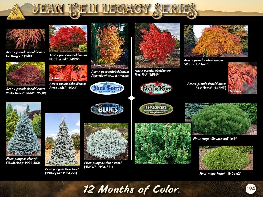 Iseli Nursery Wholesale Nursery Catalog Weekly Ad January 1, 2026 - December 31, 2027