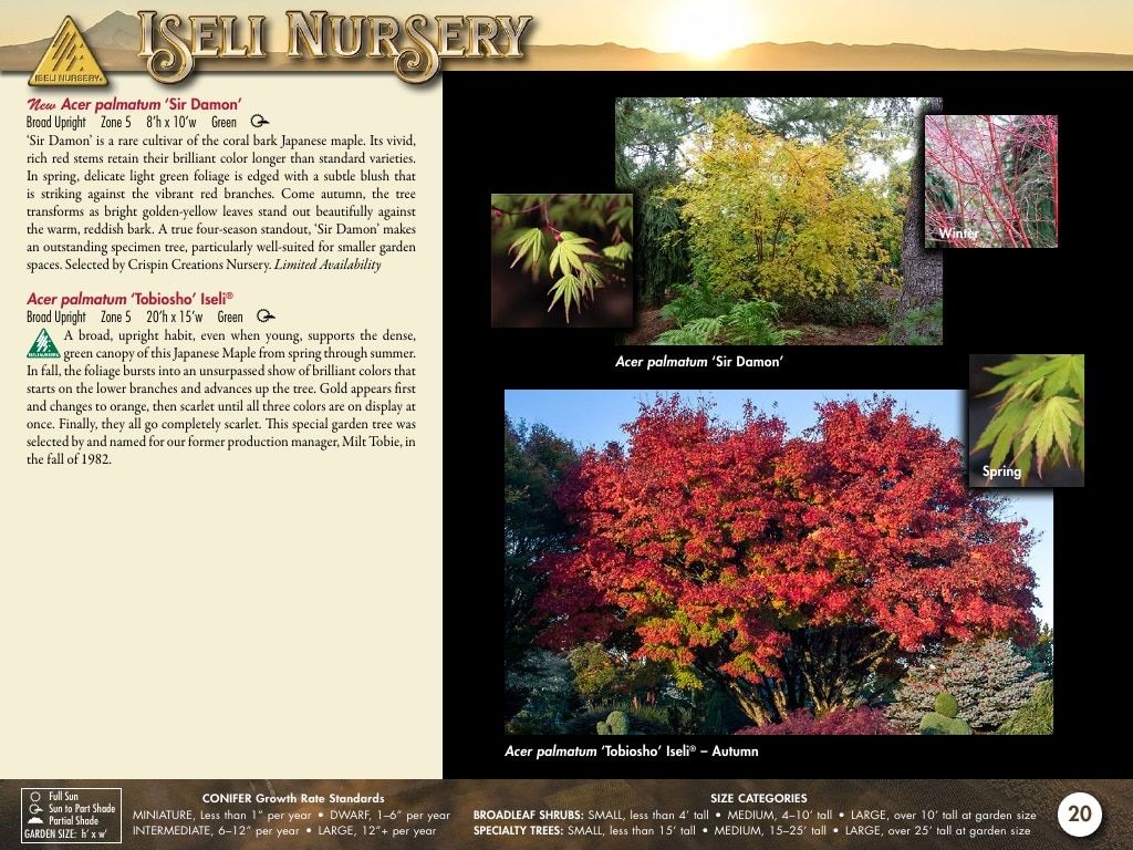 Iseli Nursery Wholesale Nursery Catalog Weekly Ad January 1, 2026 - December 31, 2027