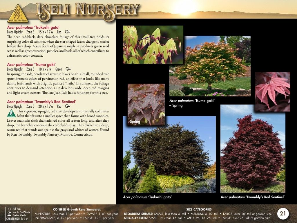 Iseli Nursery Wholesale Nursery Catalog Weekly Ad January 1, 2026 - December 31, 2027
