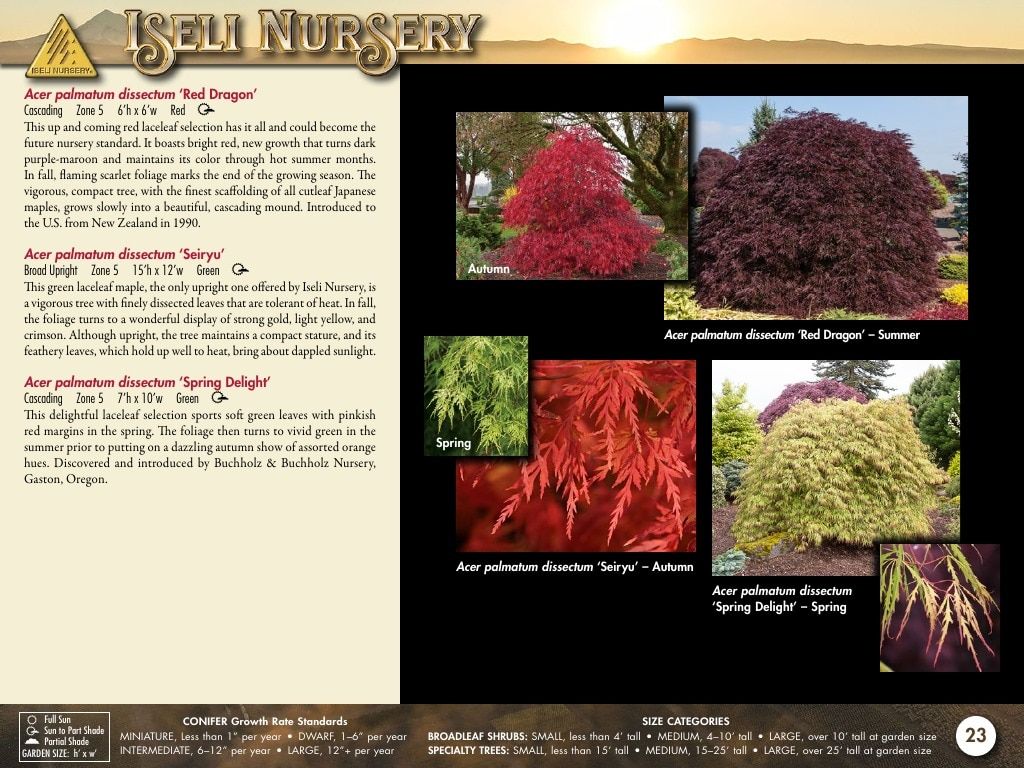 Iseli Nursery Wholesale Nursery Catalog Weekly Ad January 1, 2026 - December 31, 2027