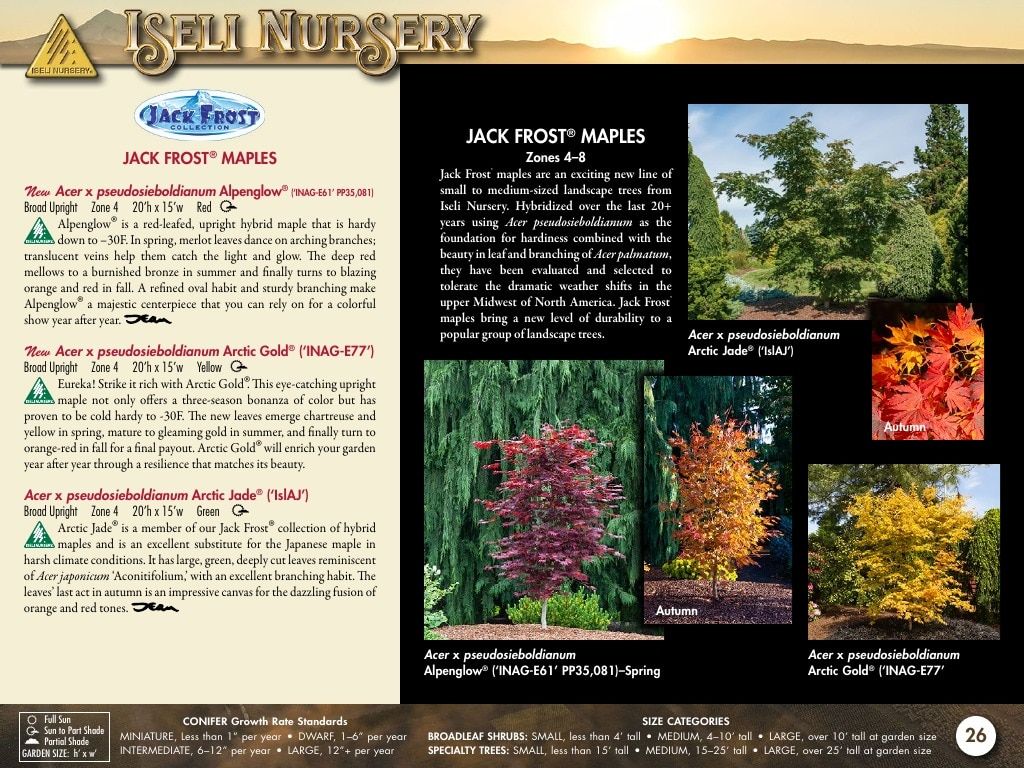 Iseli Nursery Wholesale Nursery Catalog Weekly Ad January 1, 2026 - December 31, 2027