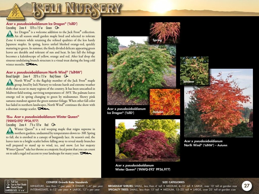 Iseli Nursery Wholesale Nursery Catalog Weekly Ad January 1, 2026 - December 31, 2027