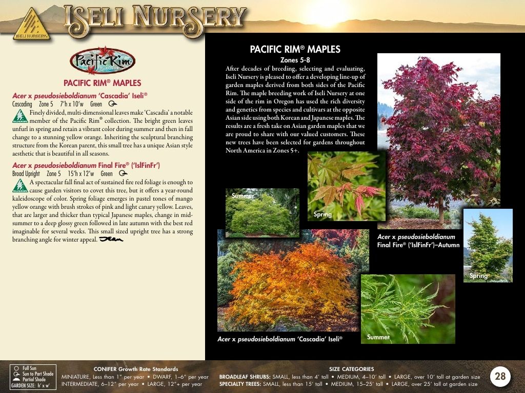 Iseli Nursery Wholesale Nursery Catalog Weekly Ad January 1, 2026 - December 31, 2027
