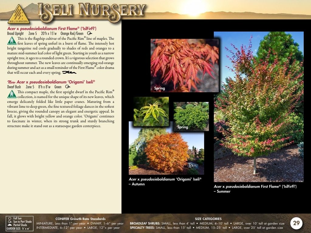 Iseli Nursery Wholesale Nursery Catalog Weekly Ad January 1, 2026 - December 31, 2027