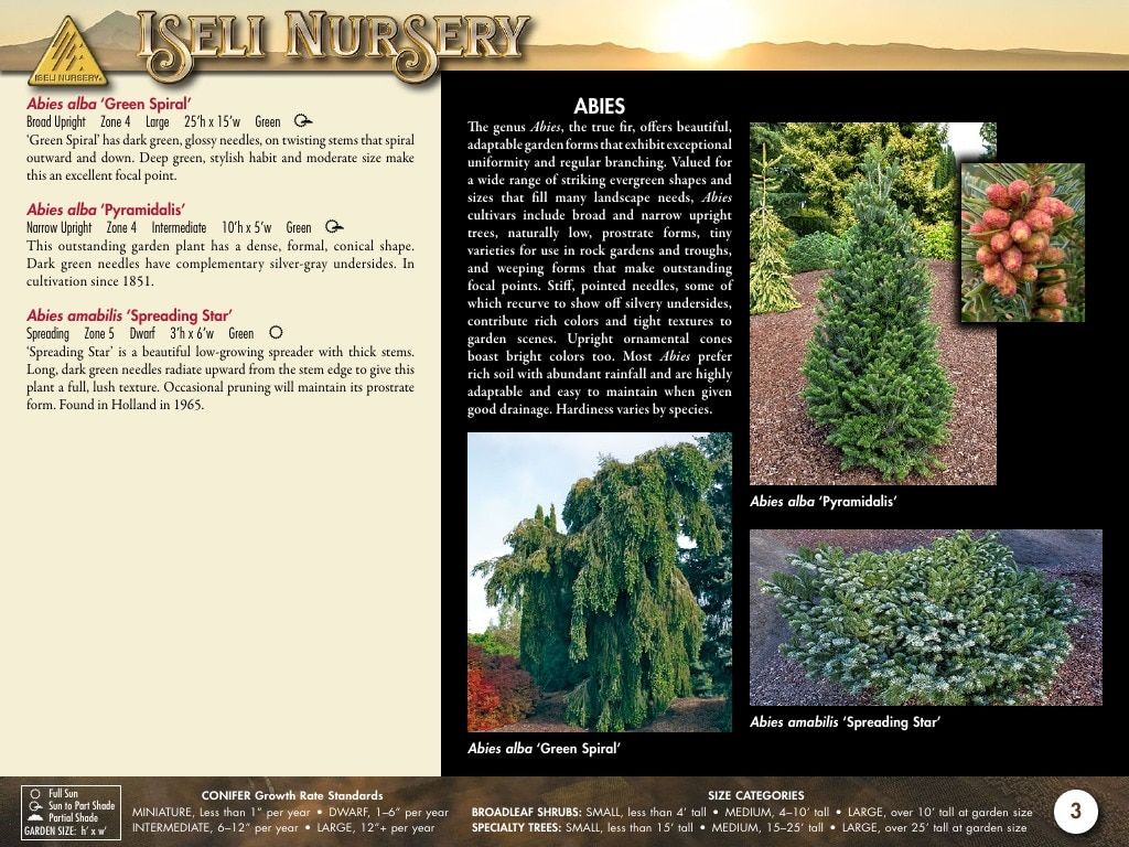 Iseli Nursery Wholesale Nursery Catalog Weekly Ad January 1, 2026 - December 31, 2027
