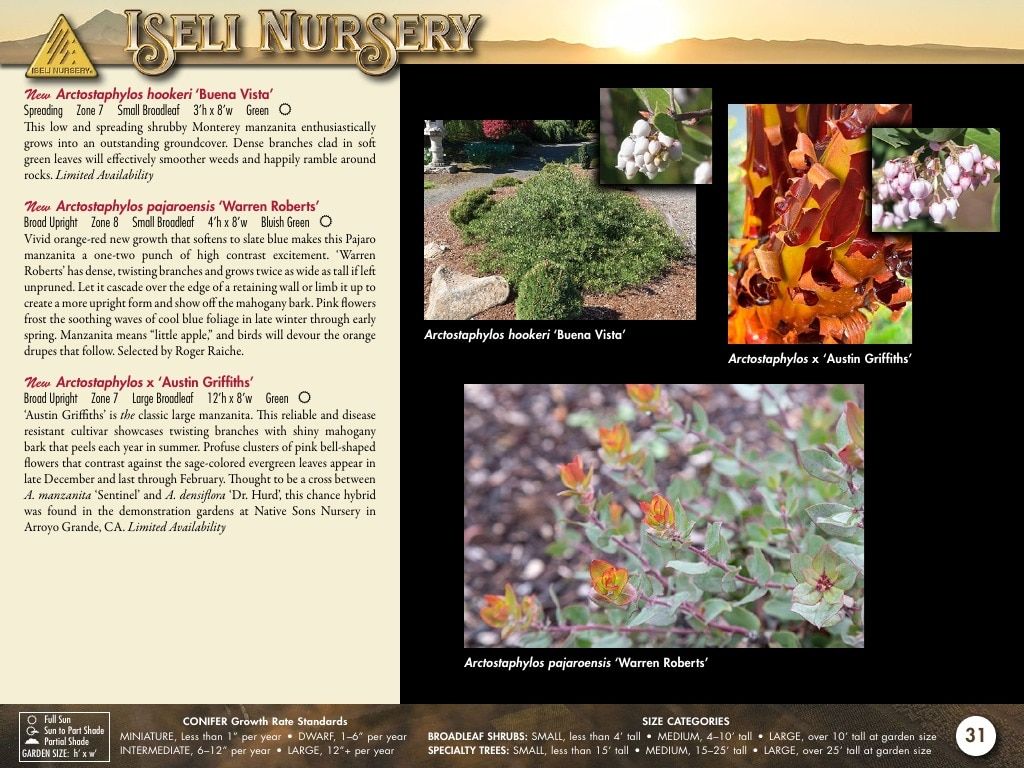 Iseli Nursery Wholesale Nursery Catalog Weekly Ad January 1, 2026 - December 31, 2027