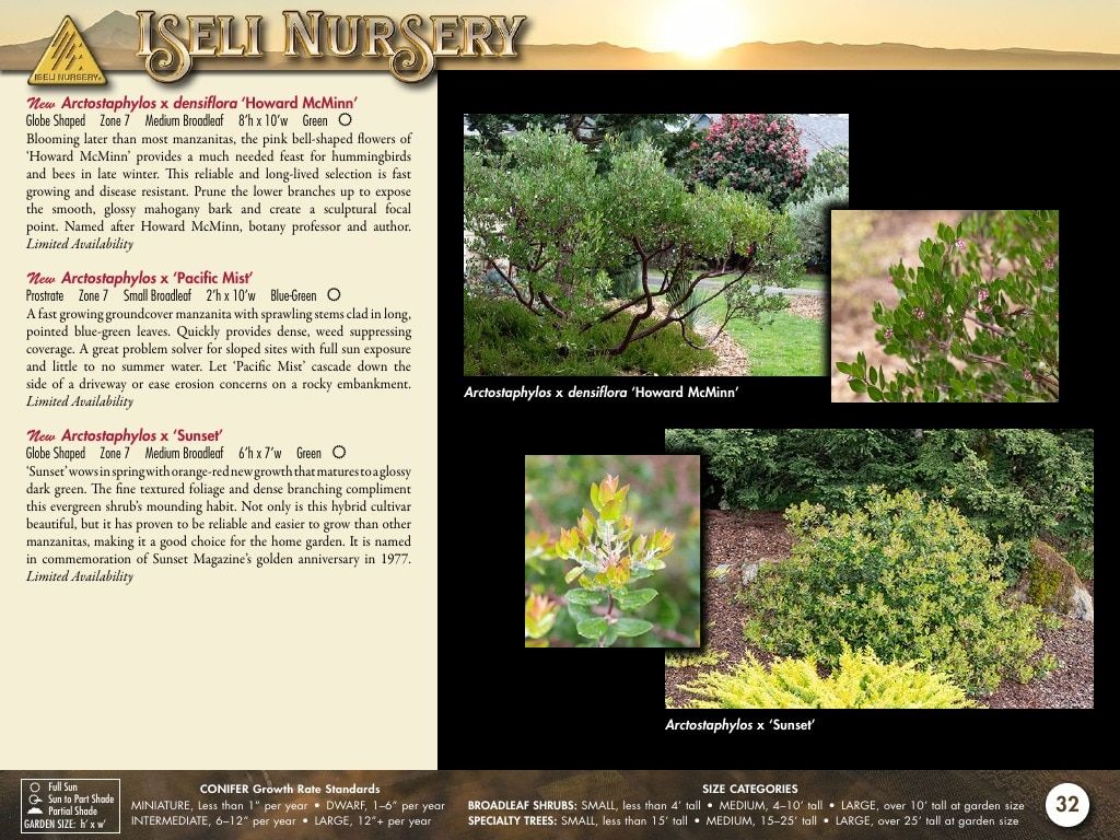 Iseli Nursery Wholesale Nursery Catalog Weekly Ad January 1, 2026 - December 31, 2027