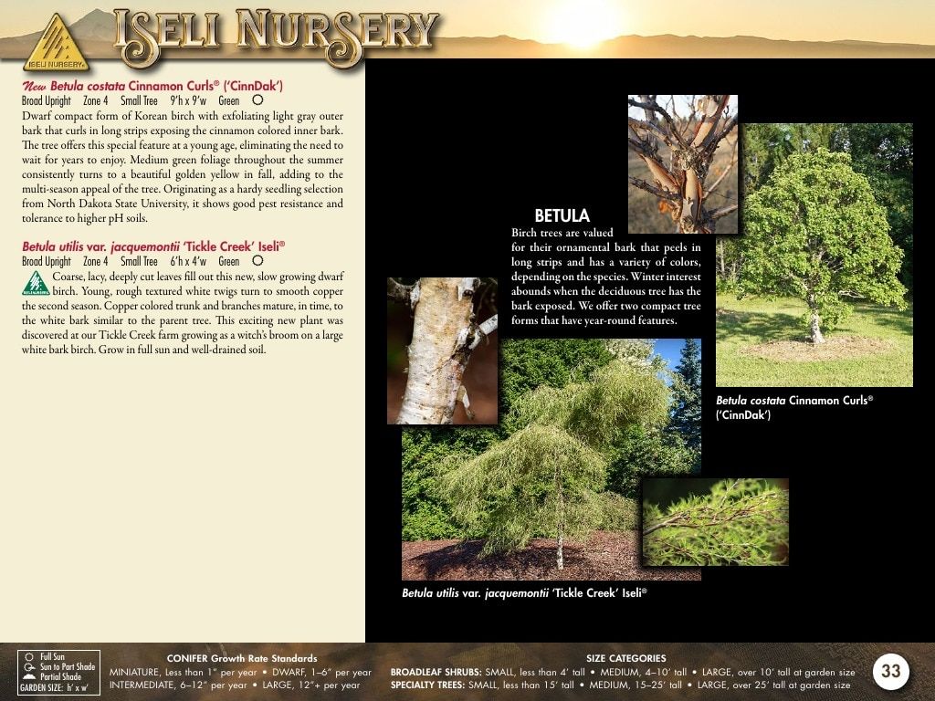 Iseli Nursery Wholesale Nursery Catalog Weekly Ad January 1, 2026 - December 31, 2027