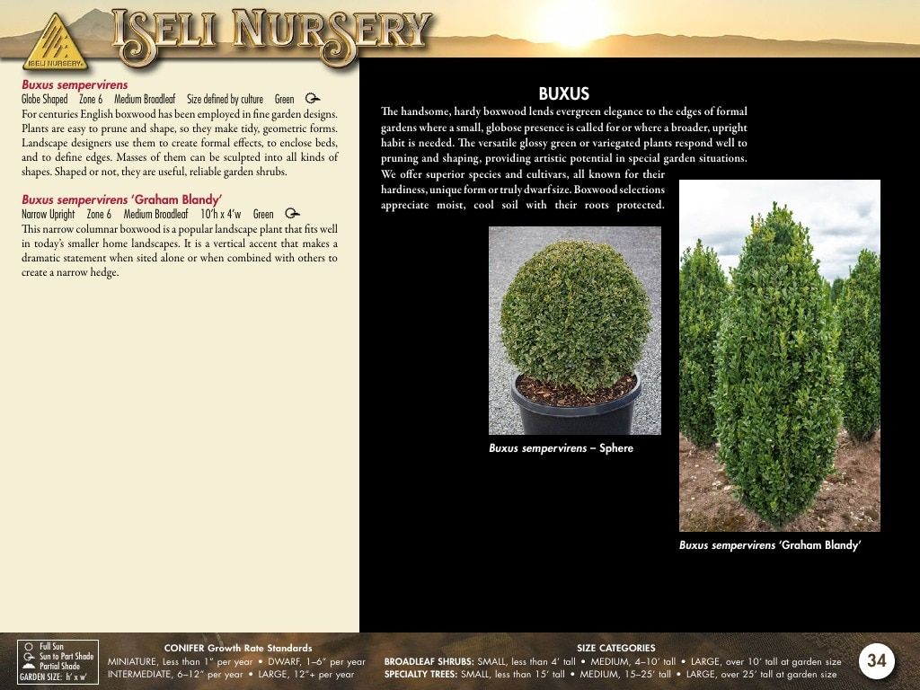 Iseli Nursery Wholesale Nursery Catalog Weekly Ad January 1, 2026 - December 31, 2027