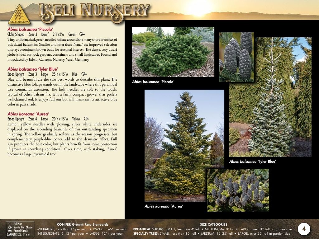Iseli Nursery Wholesale Nursery Catalog Weekly Ad January 1, 2026 - December 31, 2027
