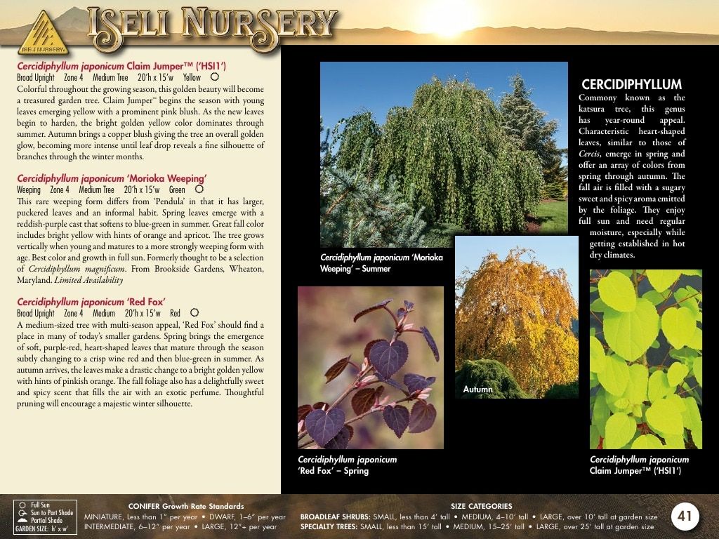 Iseli Nursery Wholesale Nursery Catalog Weekly Ad January 1, 2026 - December 31, 2027