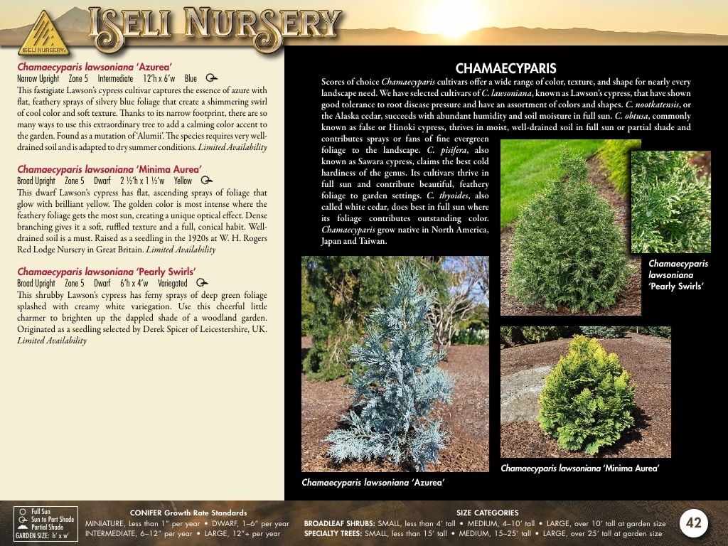 Iseli Nursery Wholesale Nursery Catalog Weekly Ad January 1, 2026 - December 31, 2027