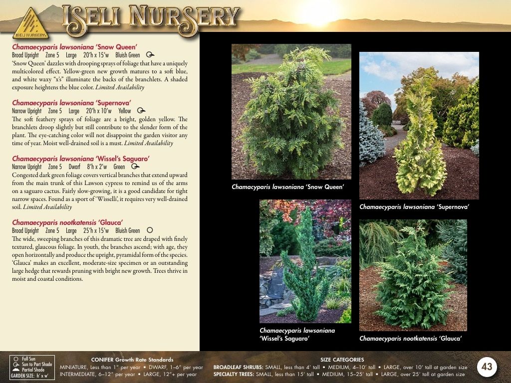 Iseli Nursery Wholesale Nursery Catalog Weekly Ad January 1, 2026 - December 31, 2027