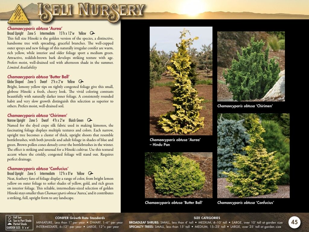 Iseli Nursery Wholesale Nursery Catalog Weekly Ad January 1, 2026 - December 31, 2027