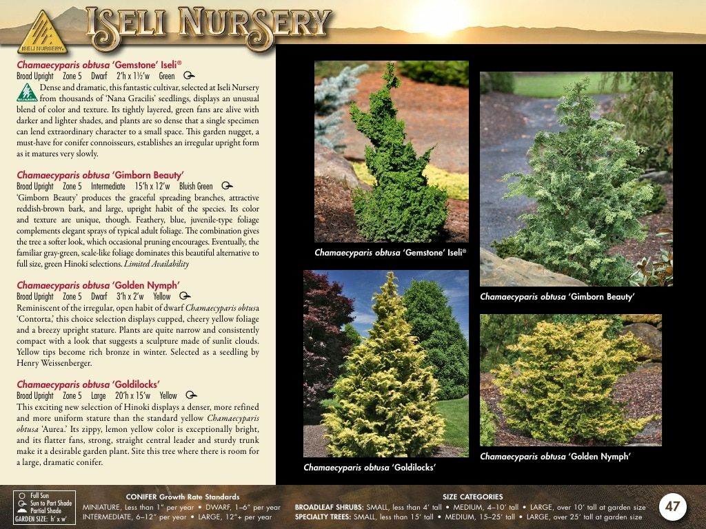 Iseli Nursery Wholesale Nursery Catalog Weekly Ad January 1, 2026 - December 31, 2027