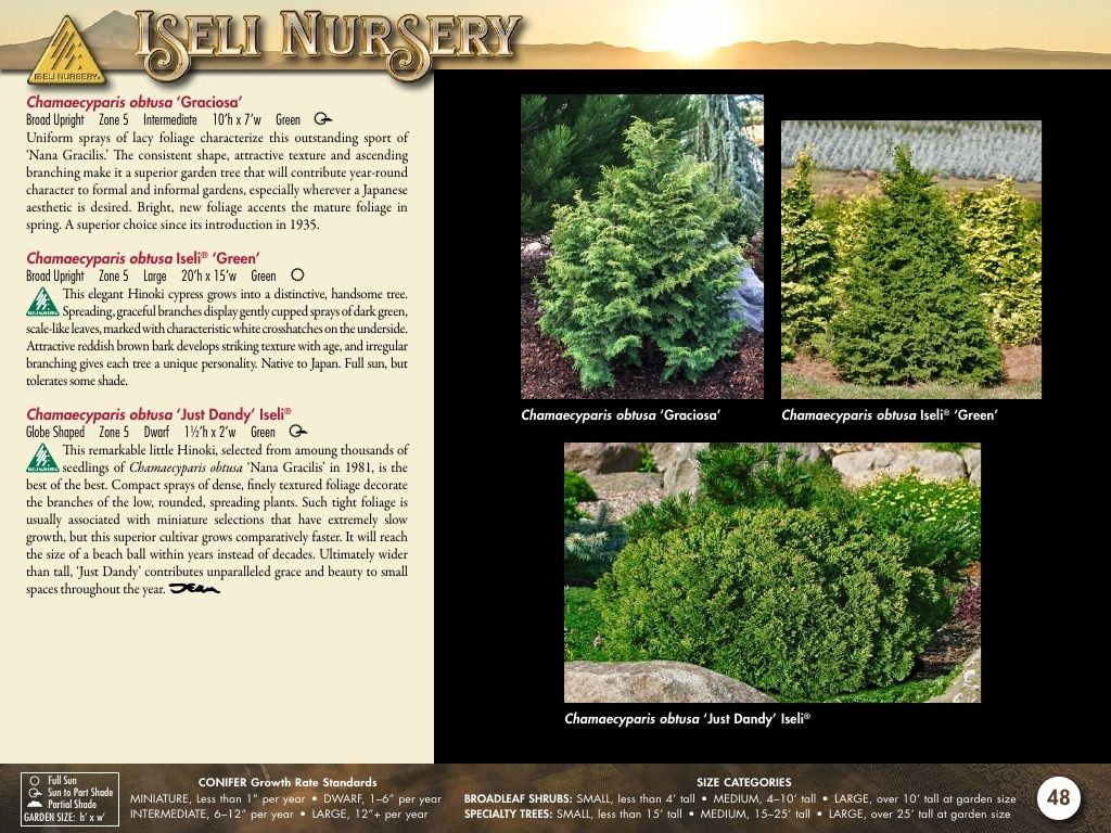 Iseli Nursery Wholesale Nursery Catalog Weekly Ad January 1, 2026 - December 31, 2027