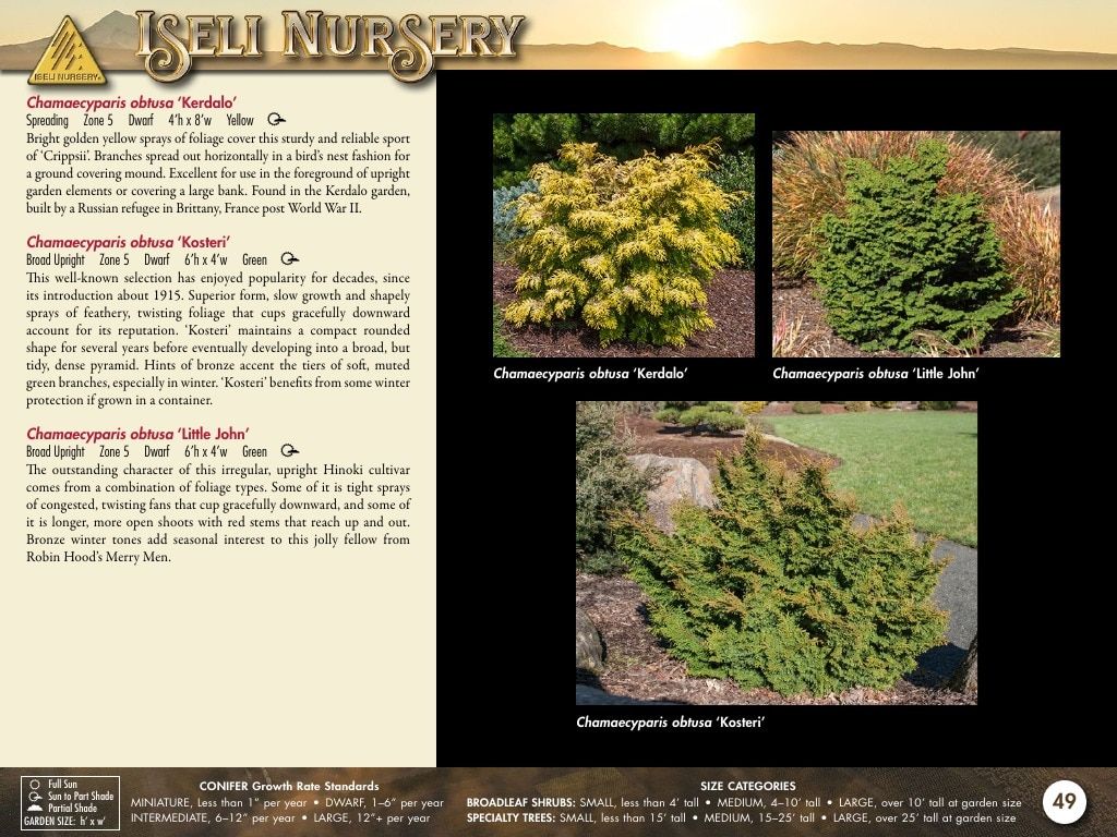 Iseli Nursery Wholesale Nursery Catalog Weekly Ad January 1, 2026 - December 31, 2027