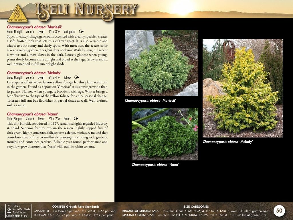 Iseli Nursery Wholesale Nursery Catalog Weekly Ad January 1, 2026 - December 31, 2027