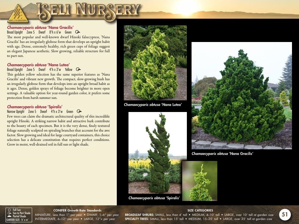 Iseli Nursery Wholesale Nursery Catalog Weekly Ad January 1, 2026 - December 31, 2027