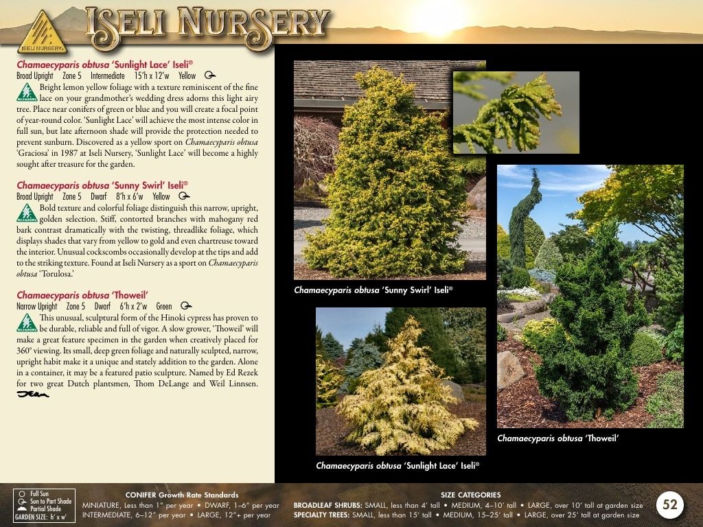 Iseli Nursery Wholesale Nursery Catalog Weekly Ad January 1, 2026 - December 31, 2027