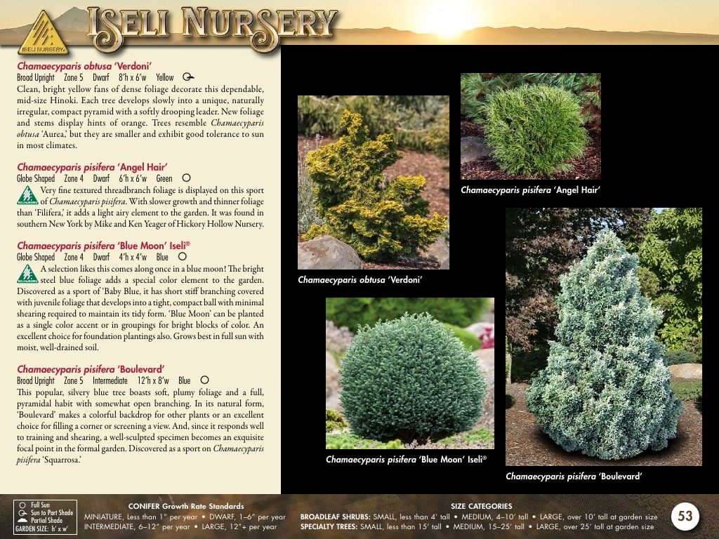 Iseli Nursery Wholesale Nursery Catalog Weekly Ad January 1, 2026 - December 31, 2027