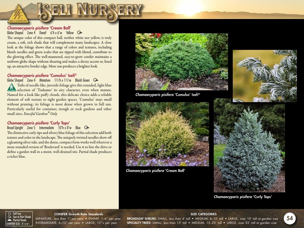 Iseli Nursery Wholesale Nursery Catalog Weekly Ad January 1, 2026 - December 31, 2027
